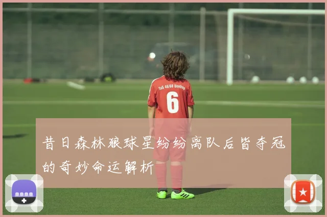 昔日森林狼球星纷纷离队后皆夺冠的奇妙命运解析